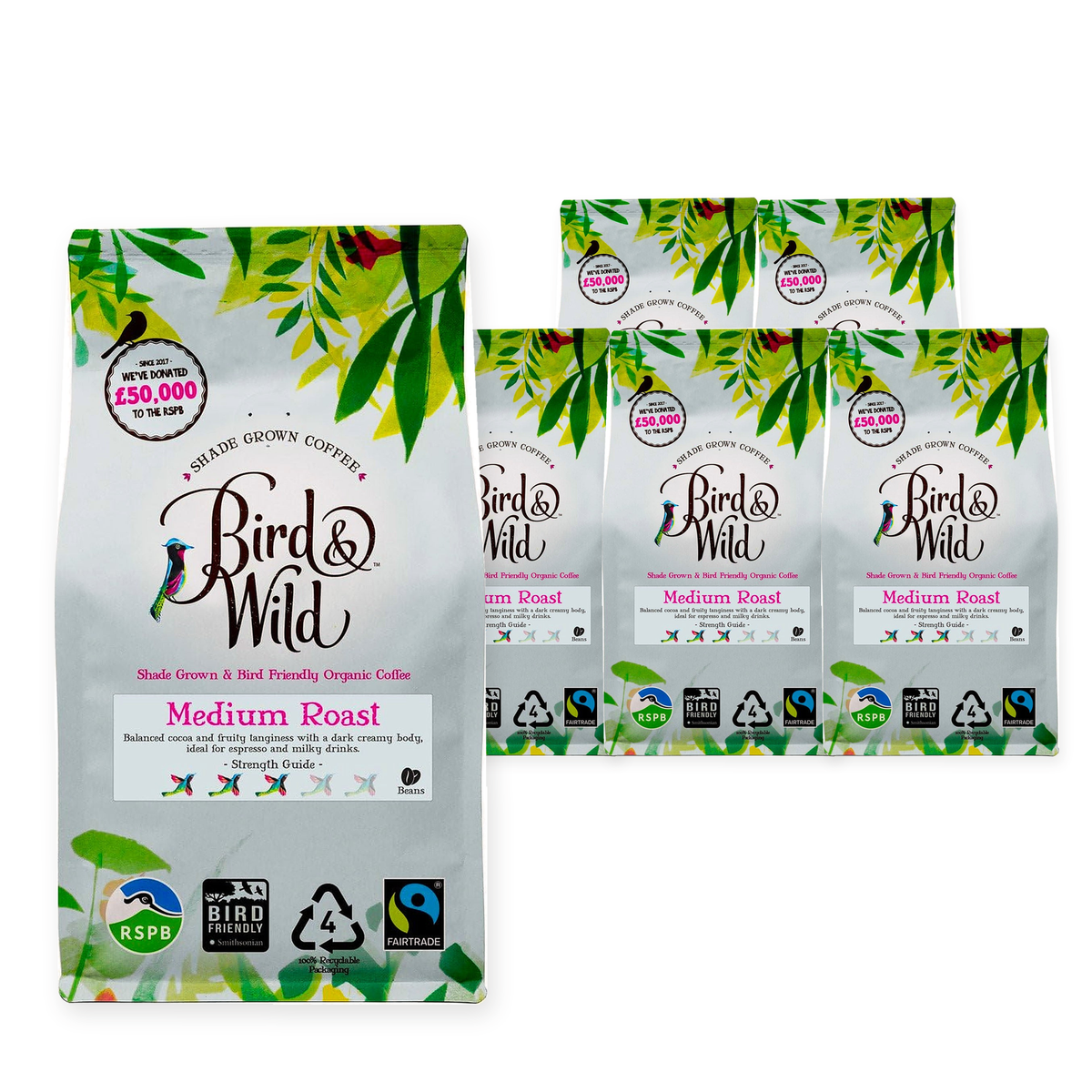 Bird & Wild Organic Medium Roast R&G 200G (Case of 6) – case pack