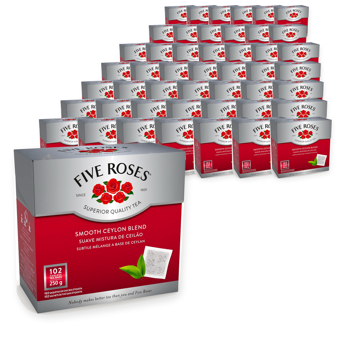Five Roses Ceylon - Tagless 250g (102s) (Case of 48) – case pack