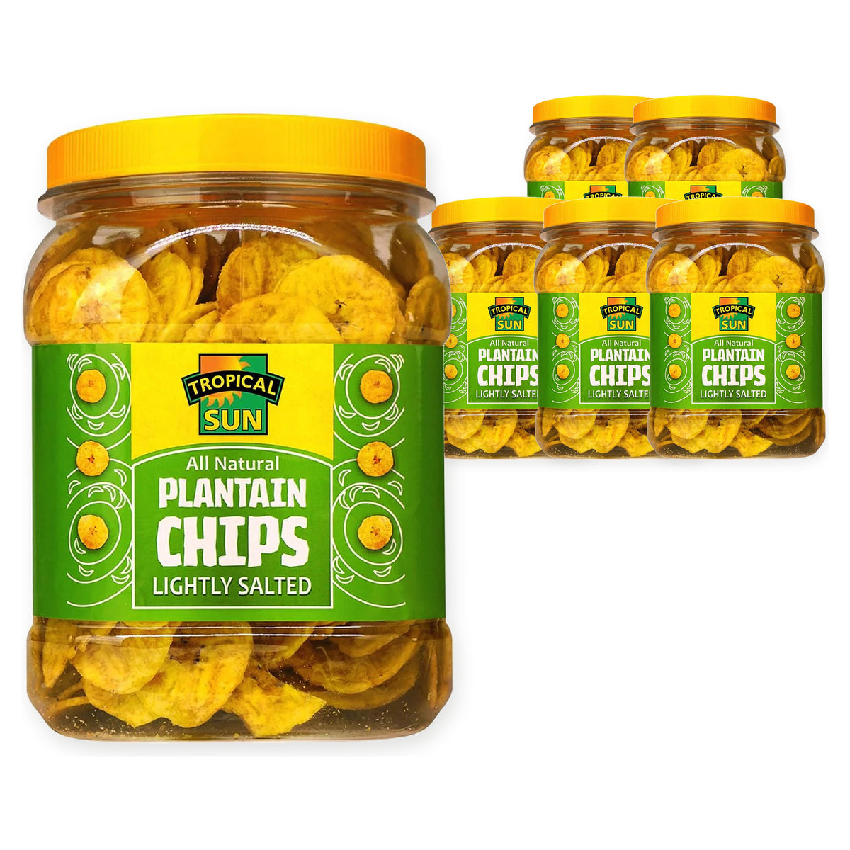 Tropical Sun Plantain Chips Salted 450G (Case of 6) – case pack