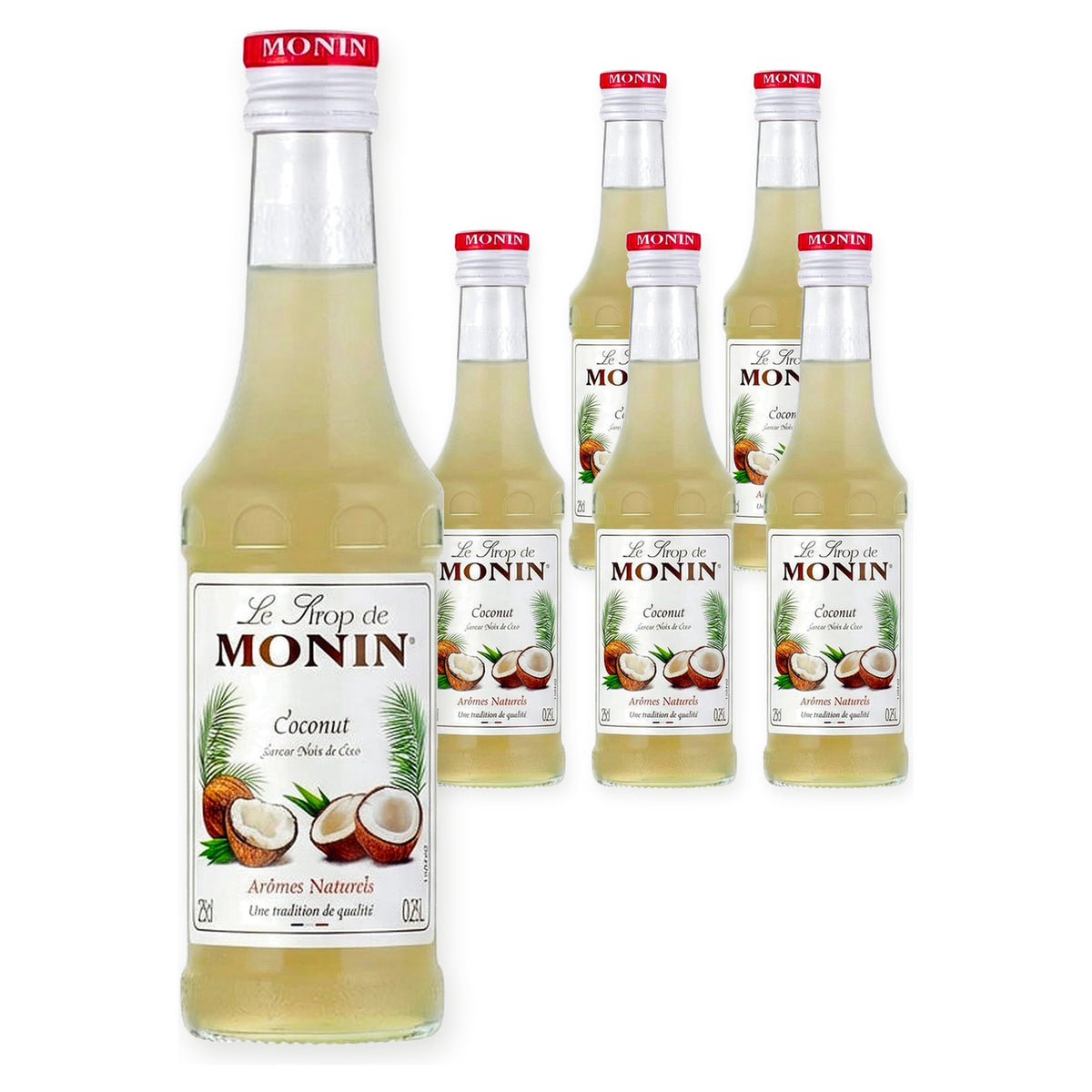 Monin Coconut 25Cl (Case of 6) – case pack