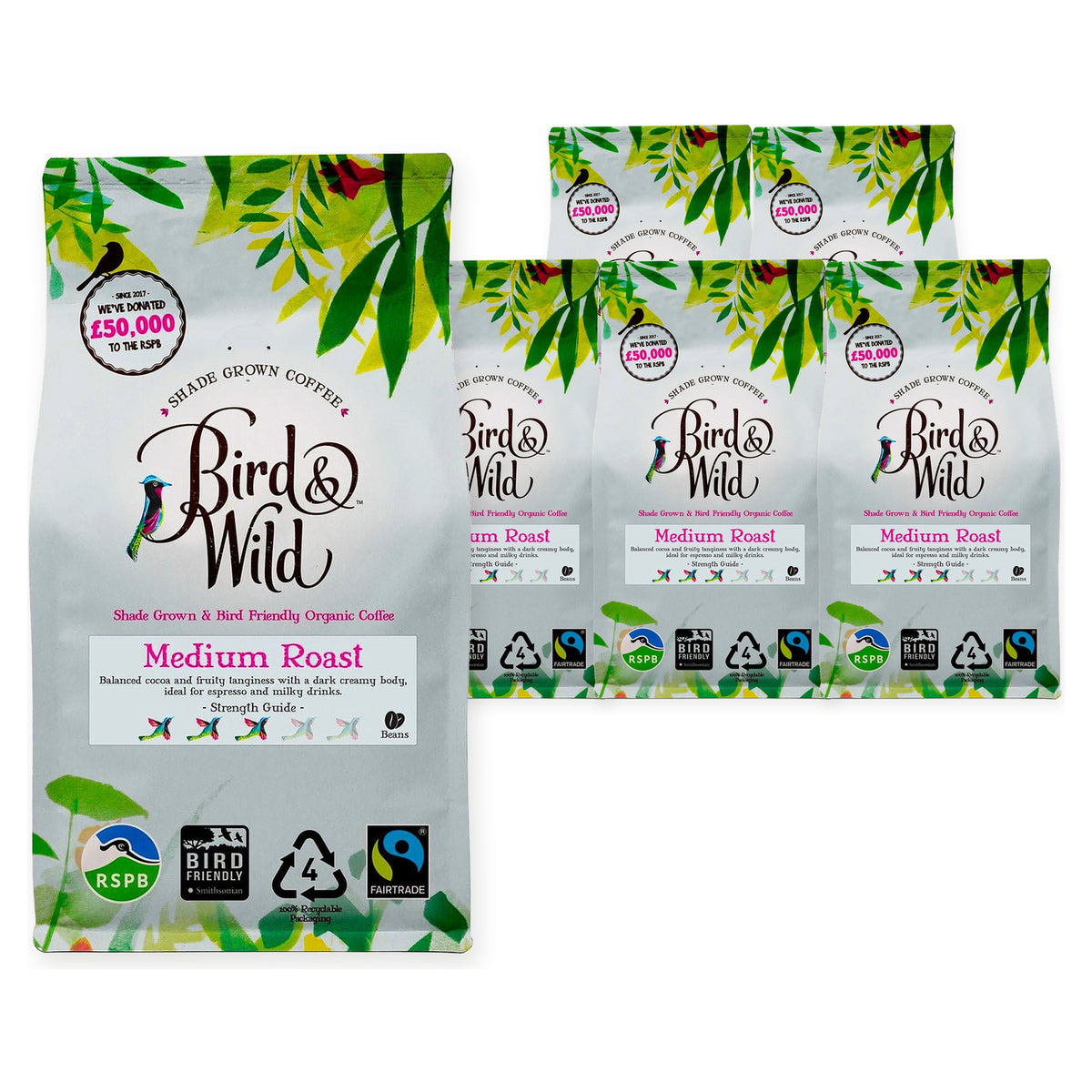 Bird & Wild Organic Medium Roast R&G 200G (Case of 6) – case pack