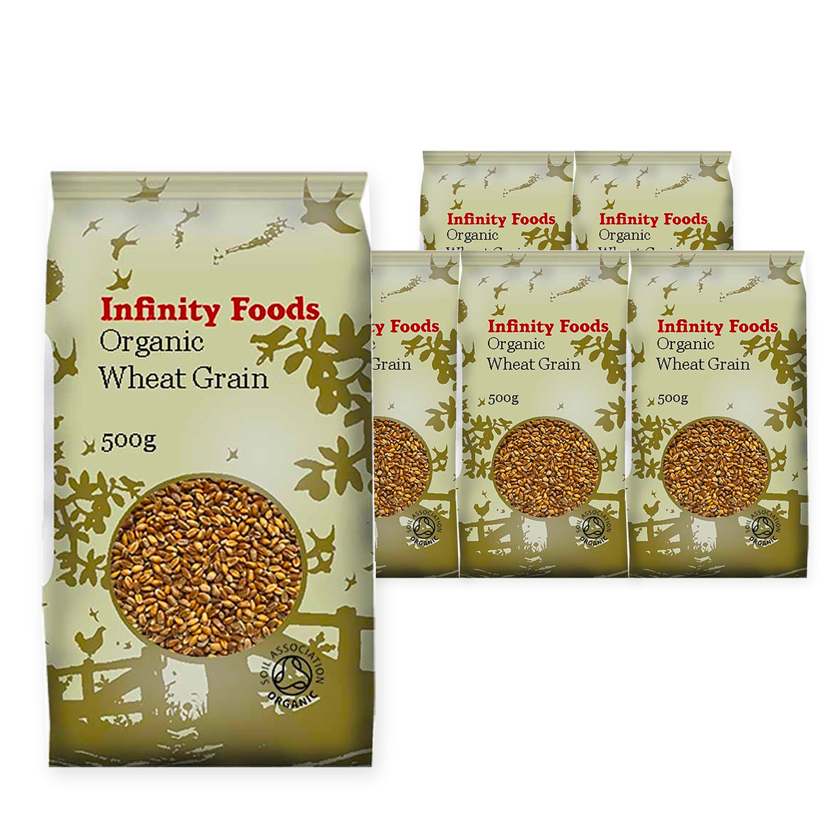Infinity Foods Organic Wheat Grain 500G (Case of 6) – case pack