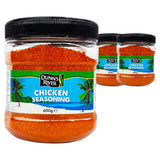Dunns River Chicken Seasoning 600G (Case of 3)