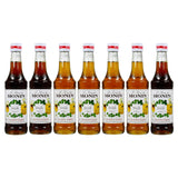 Monin Irish Syrup 25Cl
