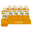 Ninben Shirodashi (EU) 500ML (Case of 12)