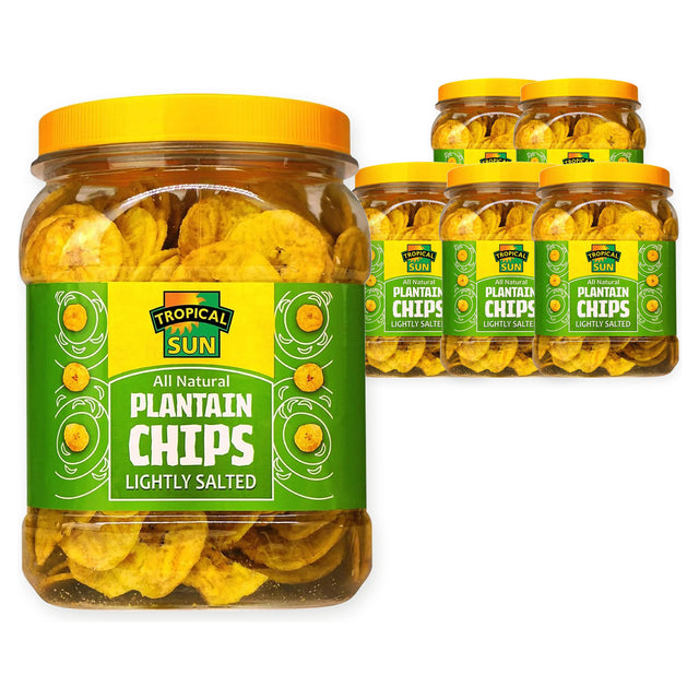 Tropical Sun Plantain Chips Salted 450G (Case of 6) – case pack