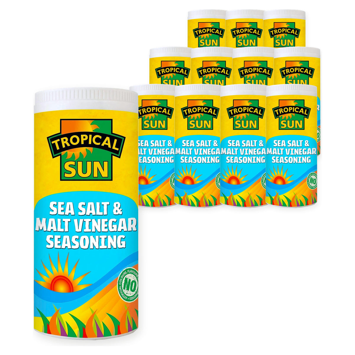 Tropical Sun Salt & Vinegar Seasoning 100G (Case of  12) – case pack