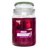 Airpure Jar Scented Candle Raspberry Bliss 510g
