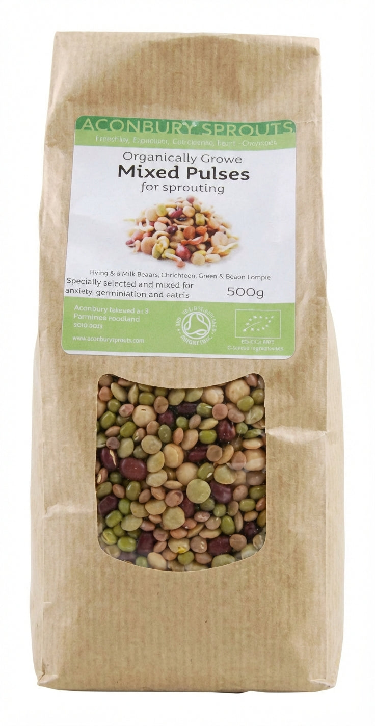 Aconbury Sprouts Mixed Beans 500G